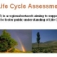 Africa’s life cycle assessment (LCA) initiatives, past and present