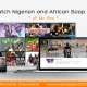 NextSpeel, an online video platform that streams African TV series